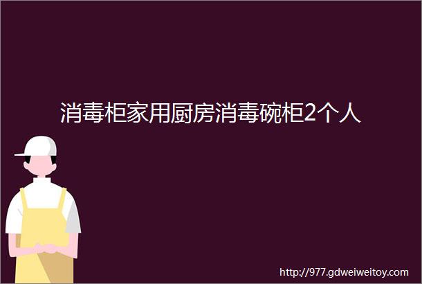 消毒柜家用厨房消毒碗柜2个人